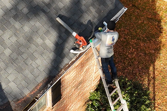 Gutter Cleaning